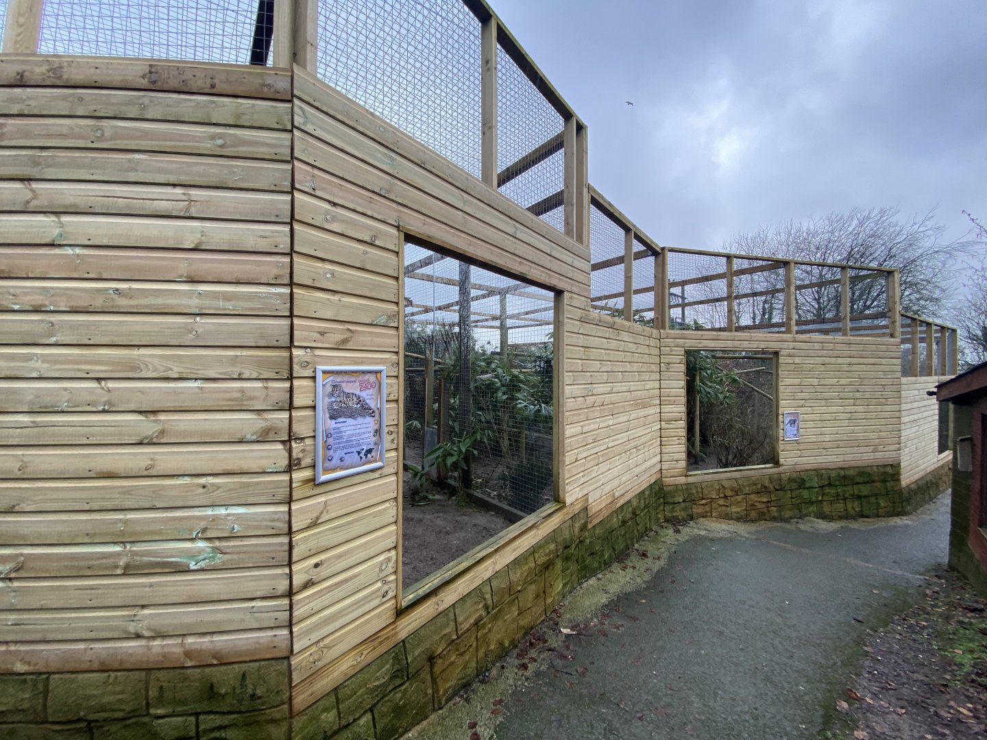Indochinese clouded leopard enclosure 160122