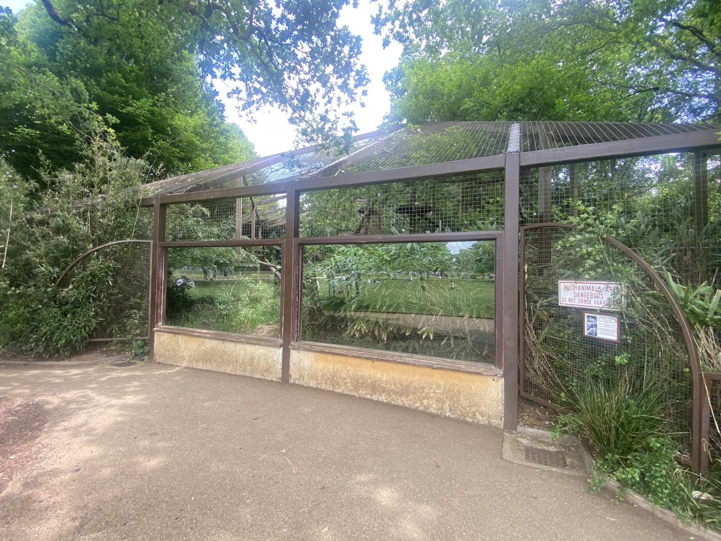 Indochinese clouded leopard enclosure 310525