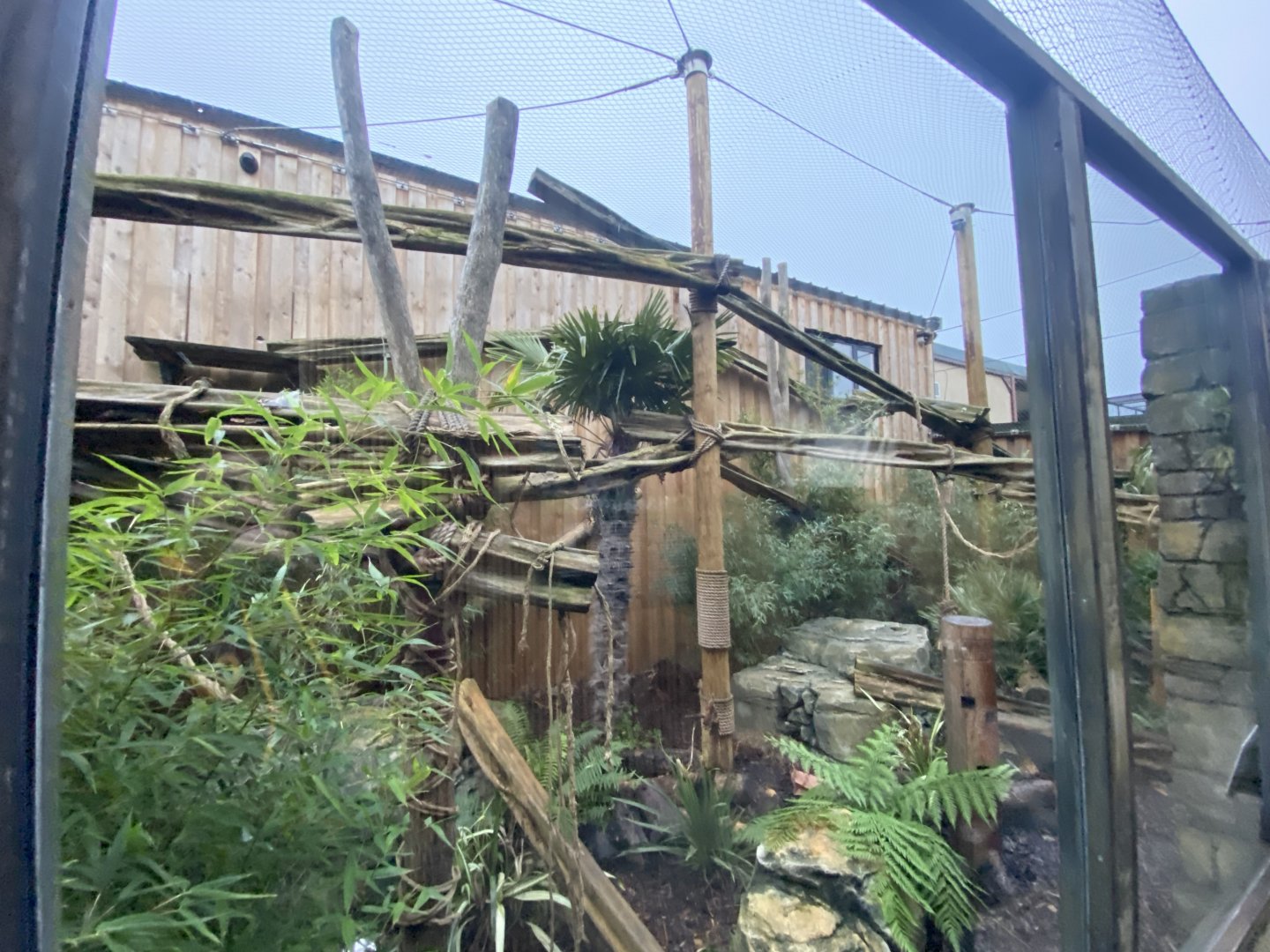 Indochinese clouded leopard exhibit 040124