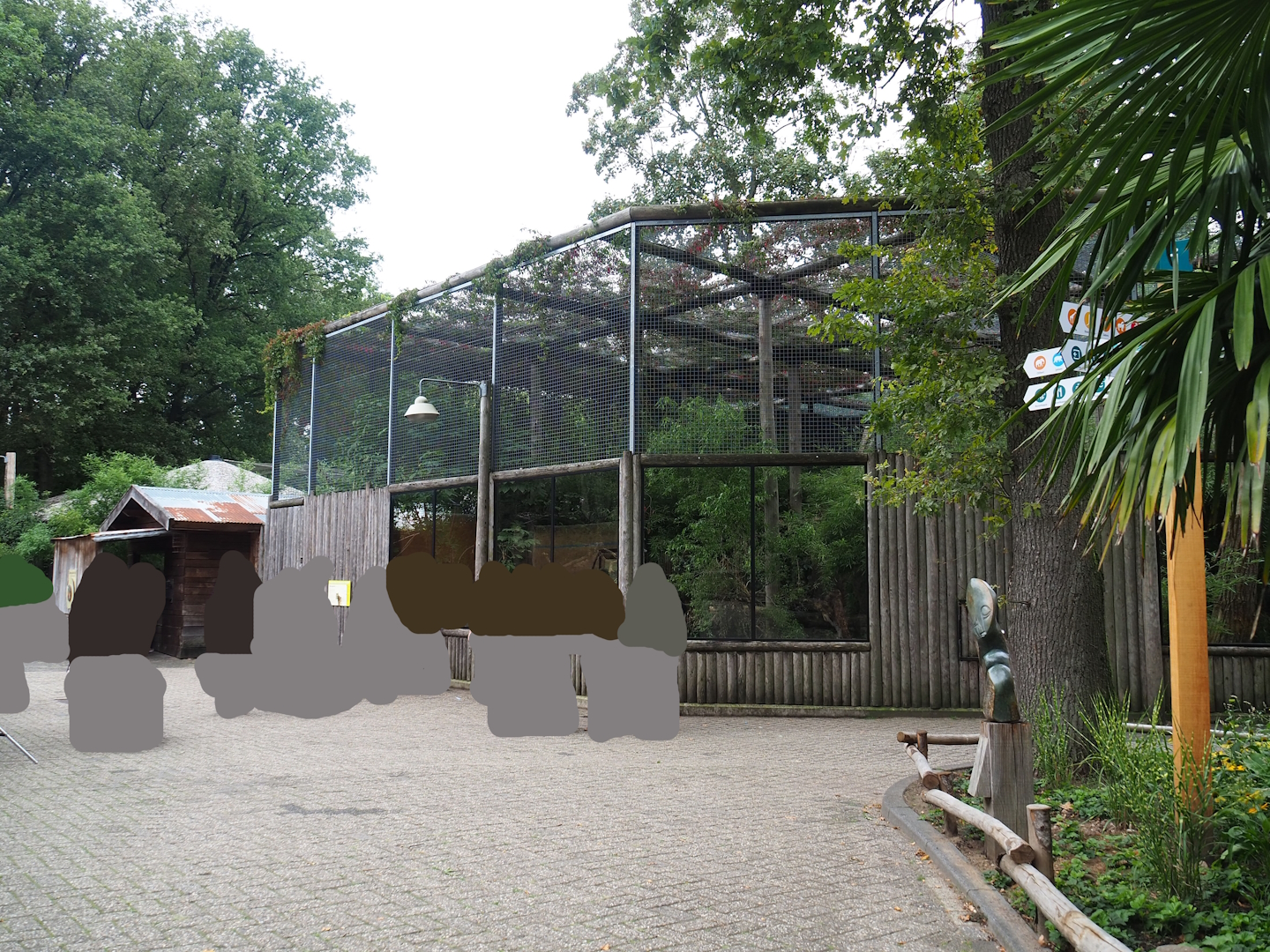 Indochinese clouded leopard exhibit, 2023-08-17