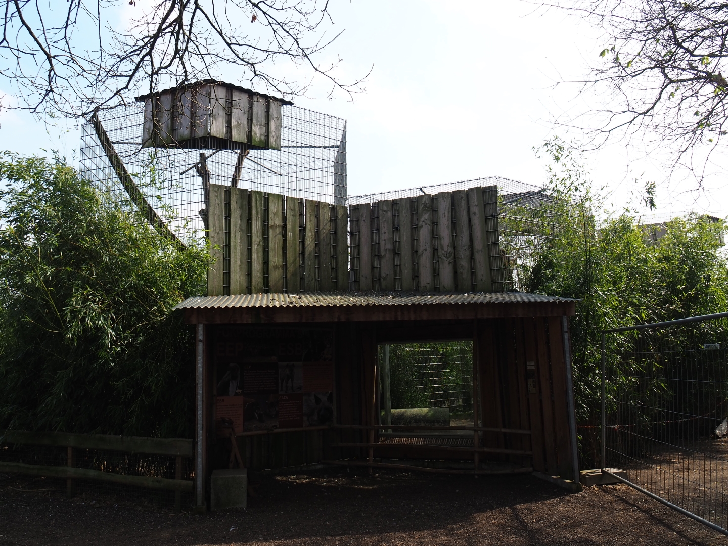 Indochinese clouded leopard exhibit and viewing area, 2019-04-06