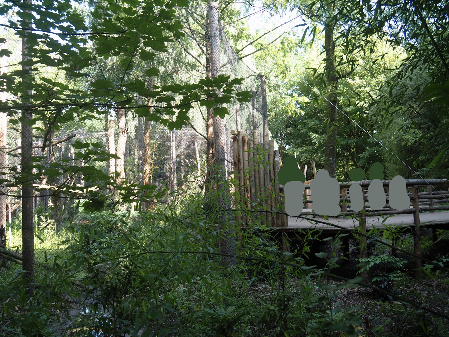 Indochinese clouded leopard exhibit and viewing area, seen from Ngyuwe section, 2025-08-03