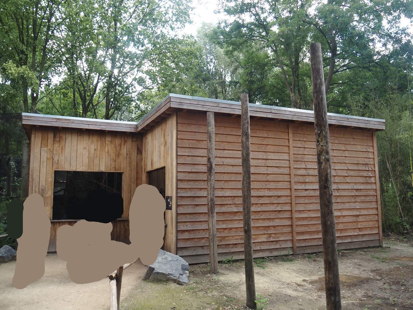 Indochinese clouded leopard house, 2025-08-03