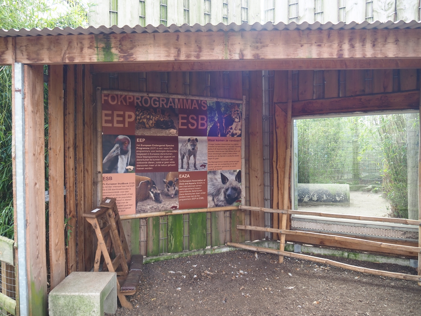 Indochinese clouded leopard viewing area, 2019-04-06