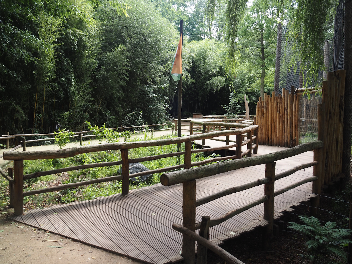 Indochinese clouded leopard viewing boardwalk, 2025-08-03