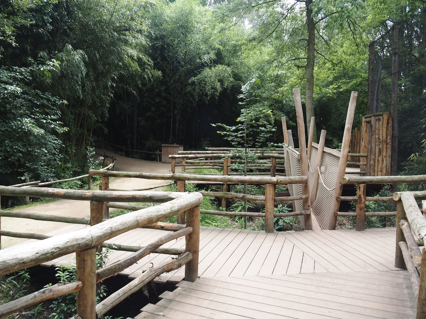 Indochinese clouded leopard viewing boardwalk, 2025-08-03