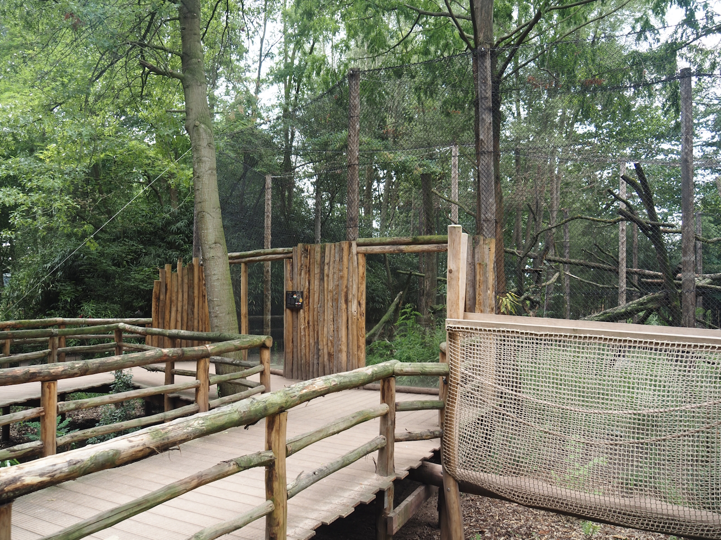 Indochinese clouded leopard viewing boardwalk, 2025-08-03
