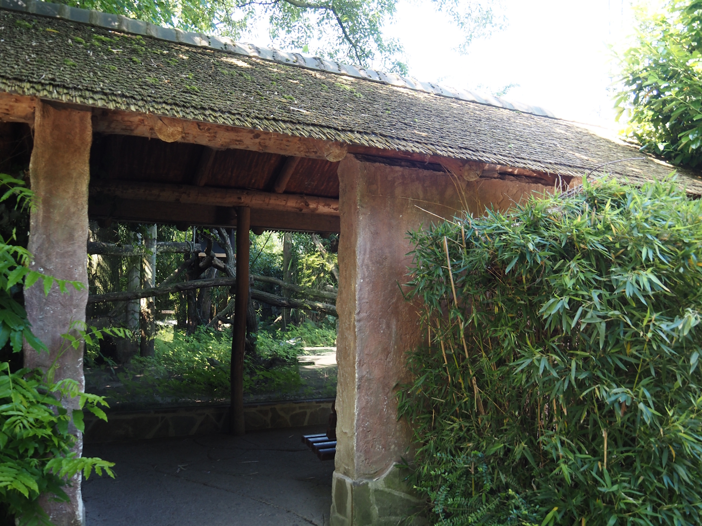 Indochinese clouded leopard viewing hut, 2024-06-08