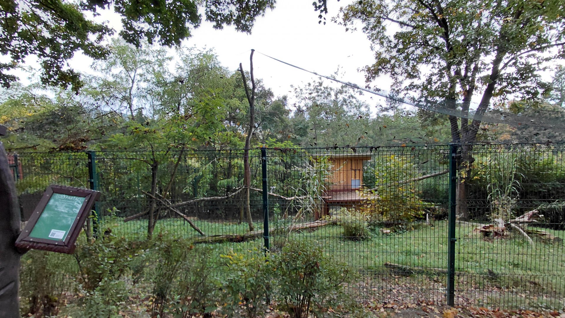 Indochinese green peafowl aviary