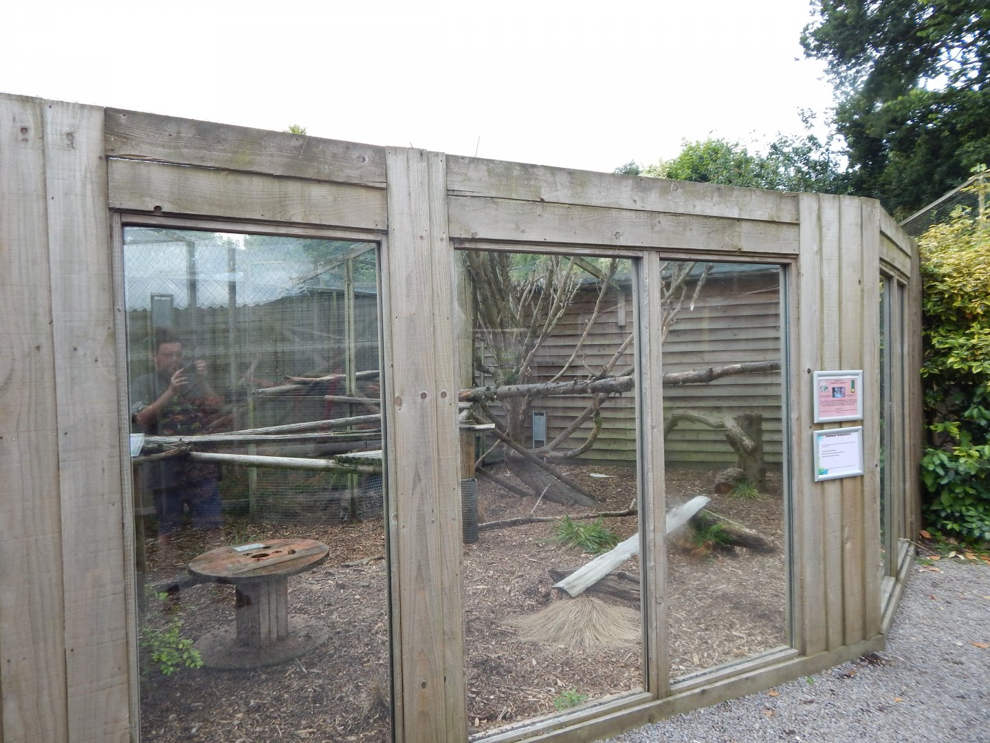Indochinese leopard cat enclosure 060625