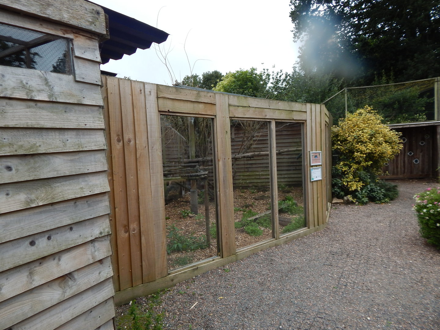 Indochinese leopard cat enclosure 300623