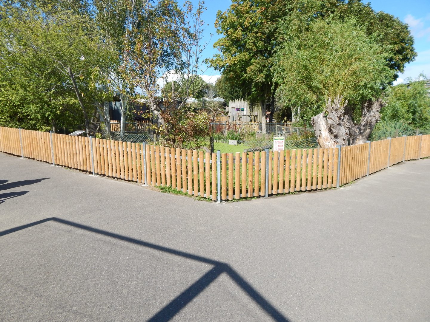 Indochinese smooth-coated exhibit 030924