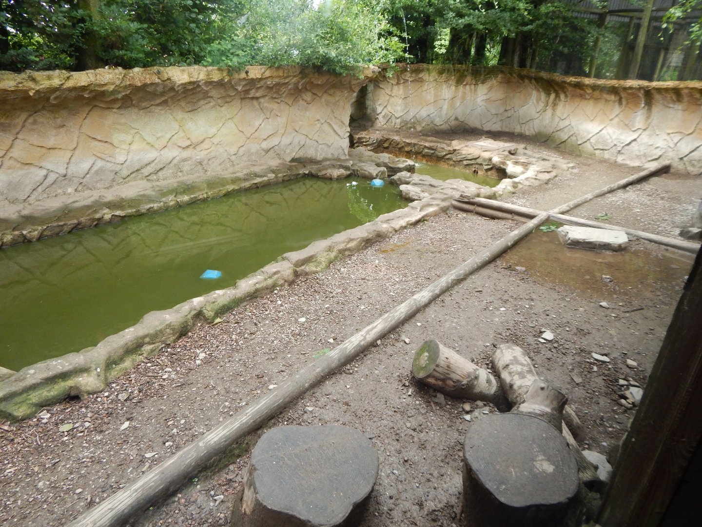 Indochinese smooth-coated otter enclosure 050625