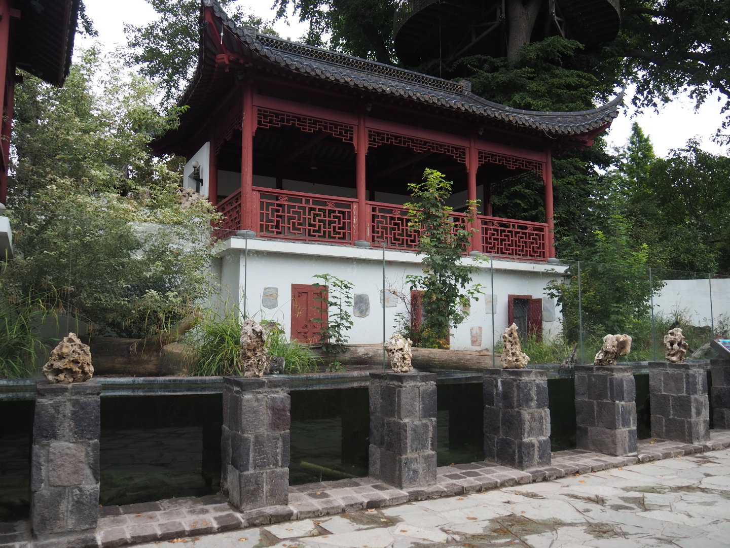 Indochinese smooth-coated otter exhibit, 2020-09-03