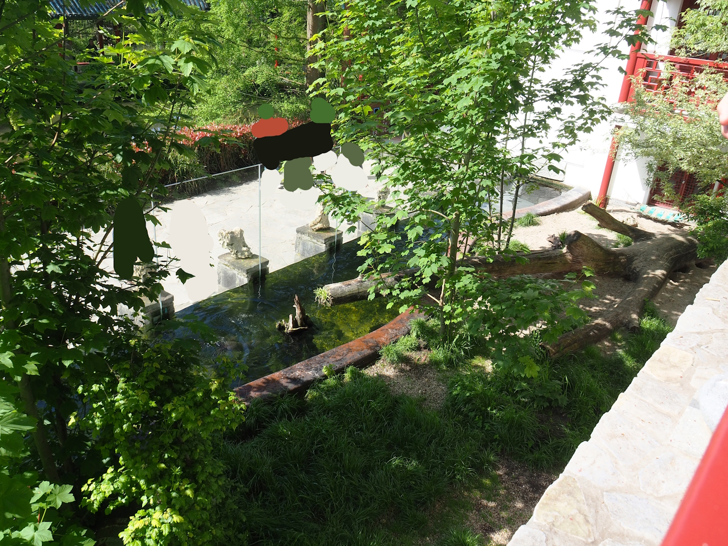 Indochinese smooth-coated otter exhibit, 2023-05-16