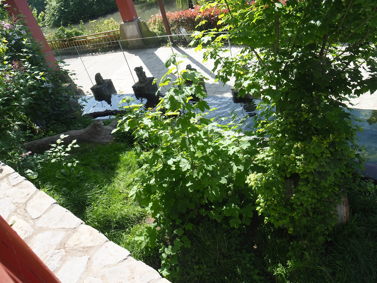 Indochinese smooth-coated otter exhibit, 2023-05-16