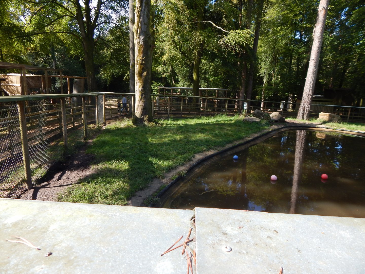 Indochinese smooth-coated otter habitat 130924