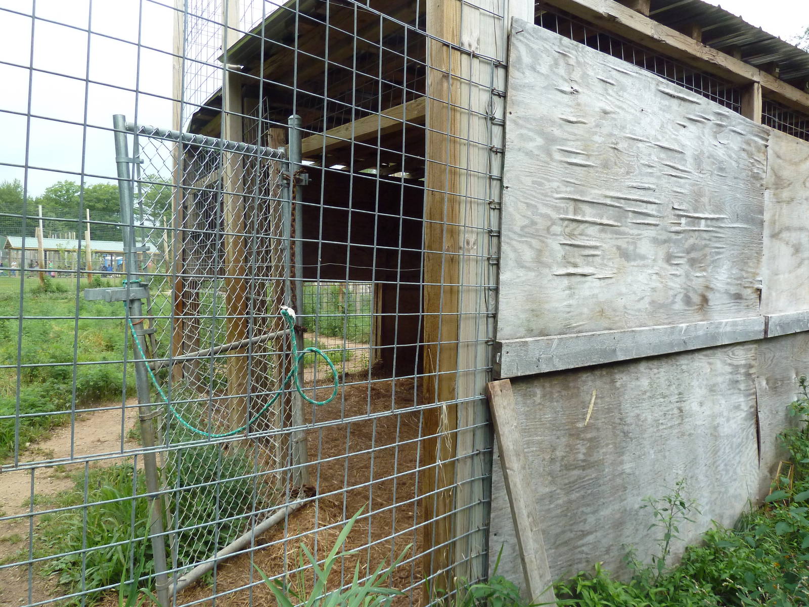 Indochinese Tiger + Bengal Tiger Exhibit