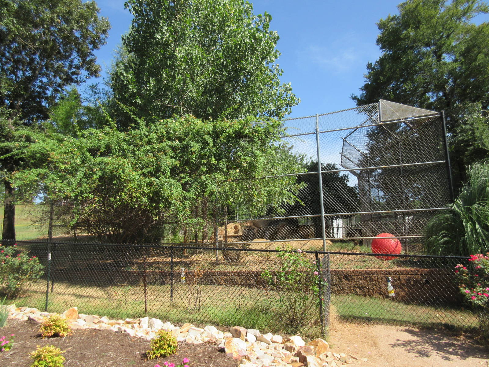 Indochinese Tiger Exhibit (according to sign)