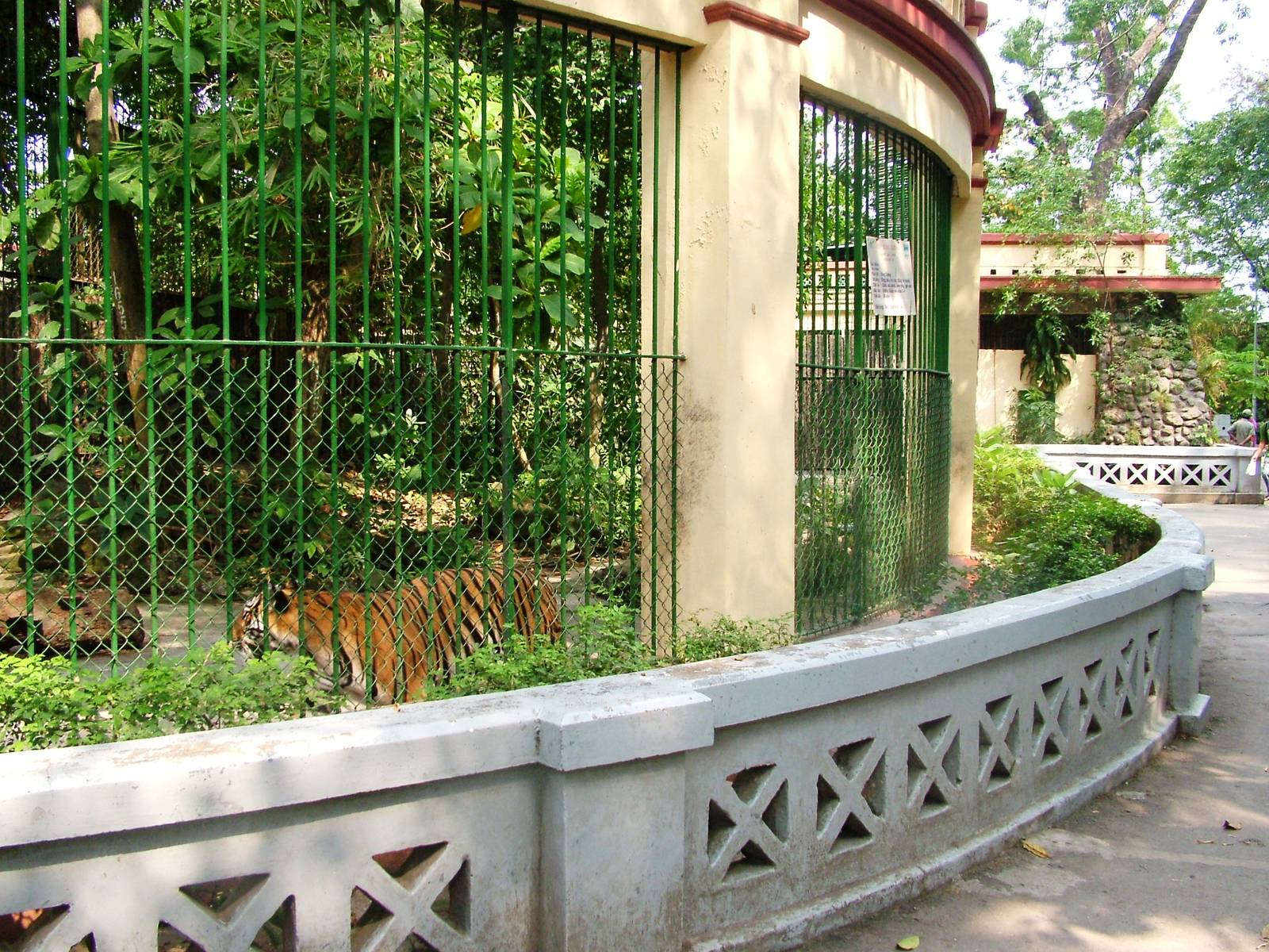 Indochinese Tiger Exhibit at Saigon Zoo, 16/03/12