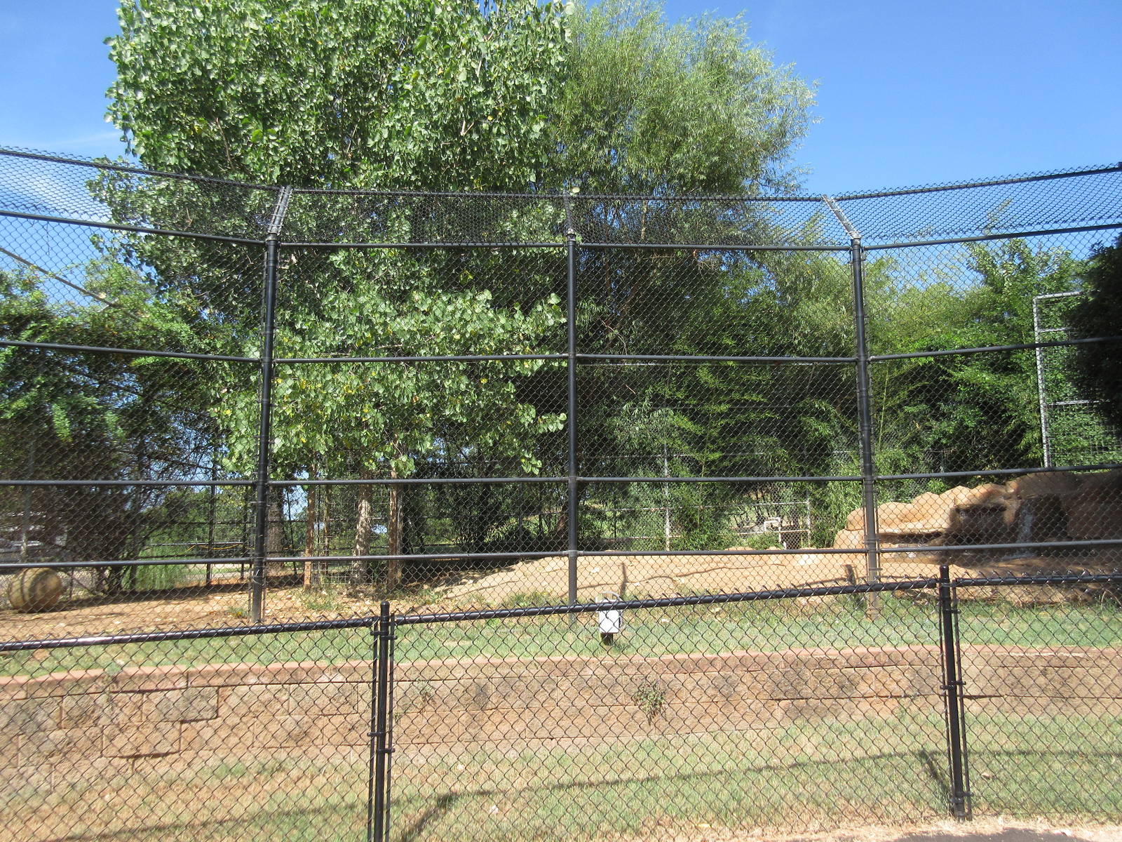 Indochinese Tiger Exhibit