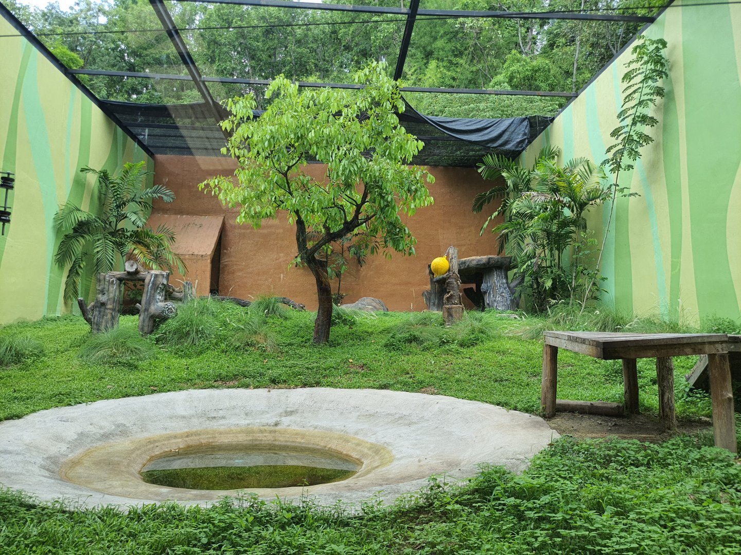 Indochinese Tiger Exhibit