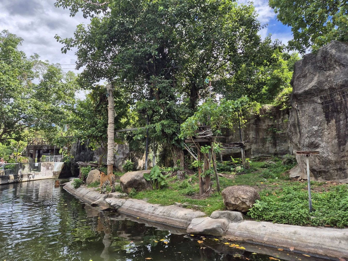 Indochnese Tiger exhibit