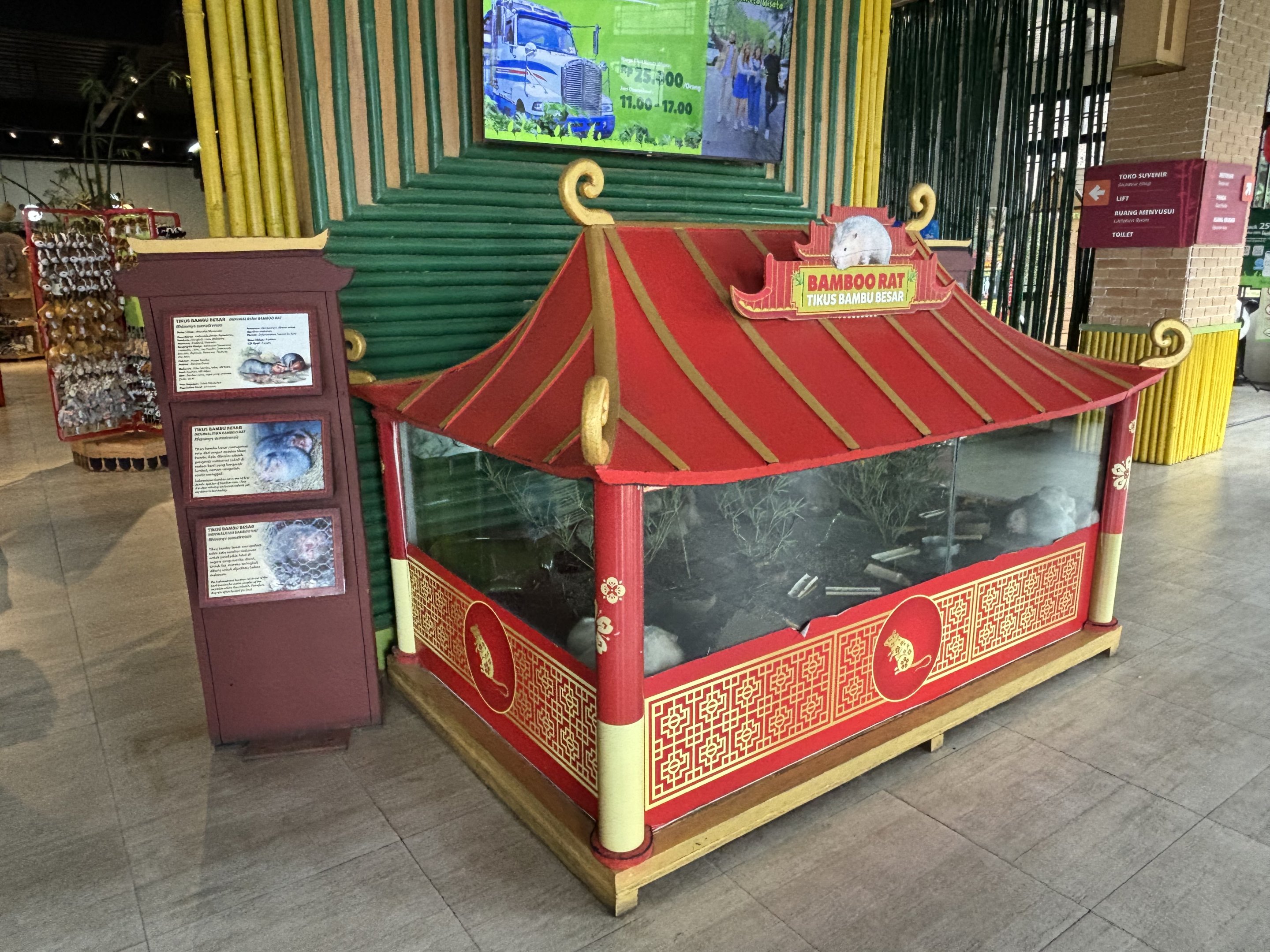 Indomalayan Bamboo Rat Exhibit - Giant Panda Complex