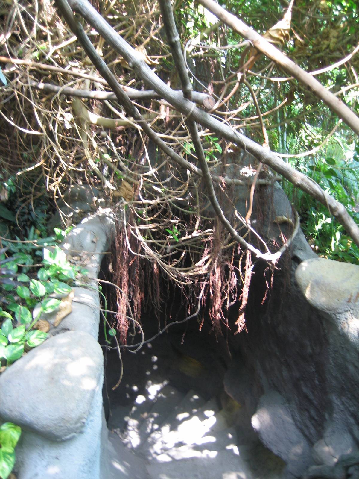 Indonesia Jungle Staircase to the lower level