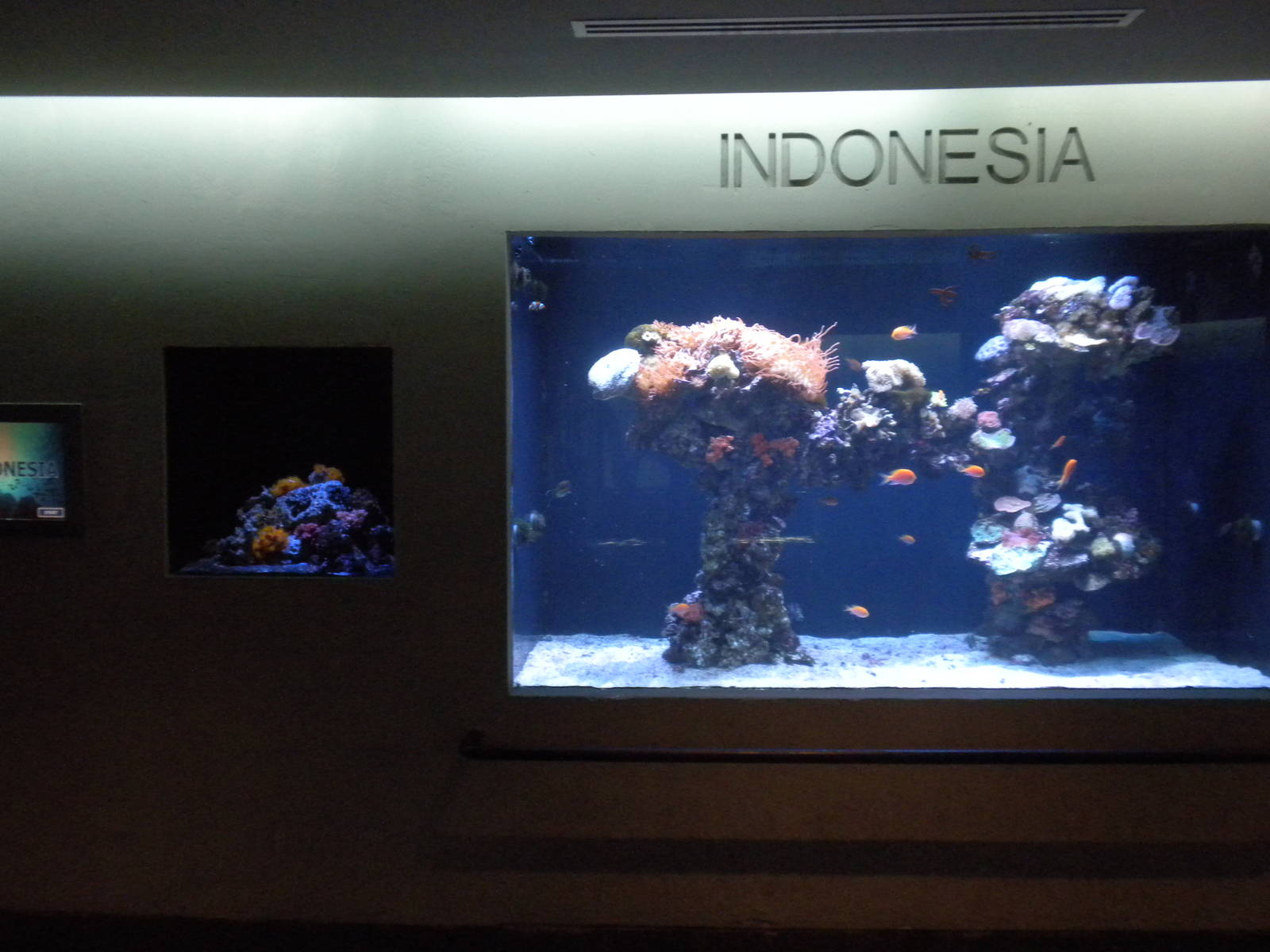 Indonesia tank