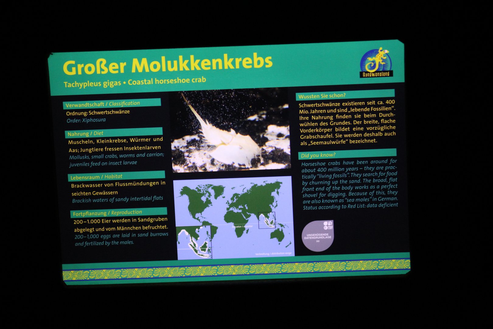 Indonesian Horseshoe Crab Signage