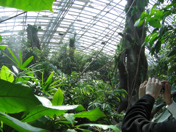 Indonesian house @ Prague zoo