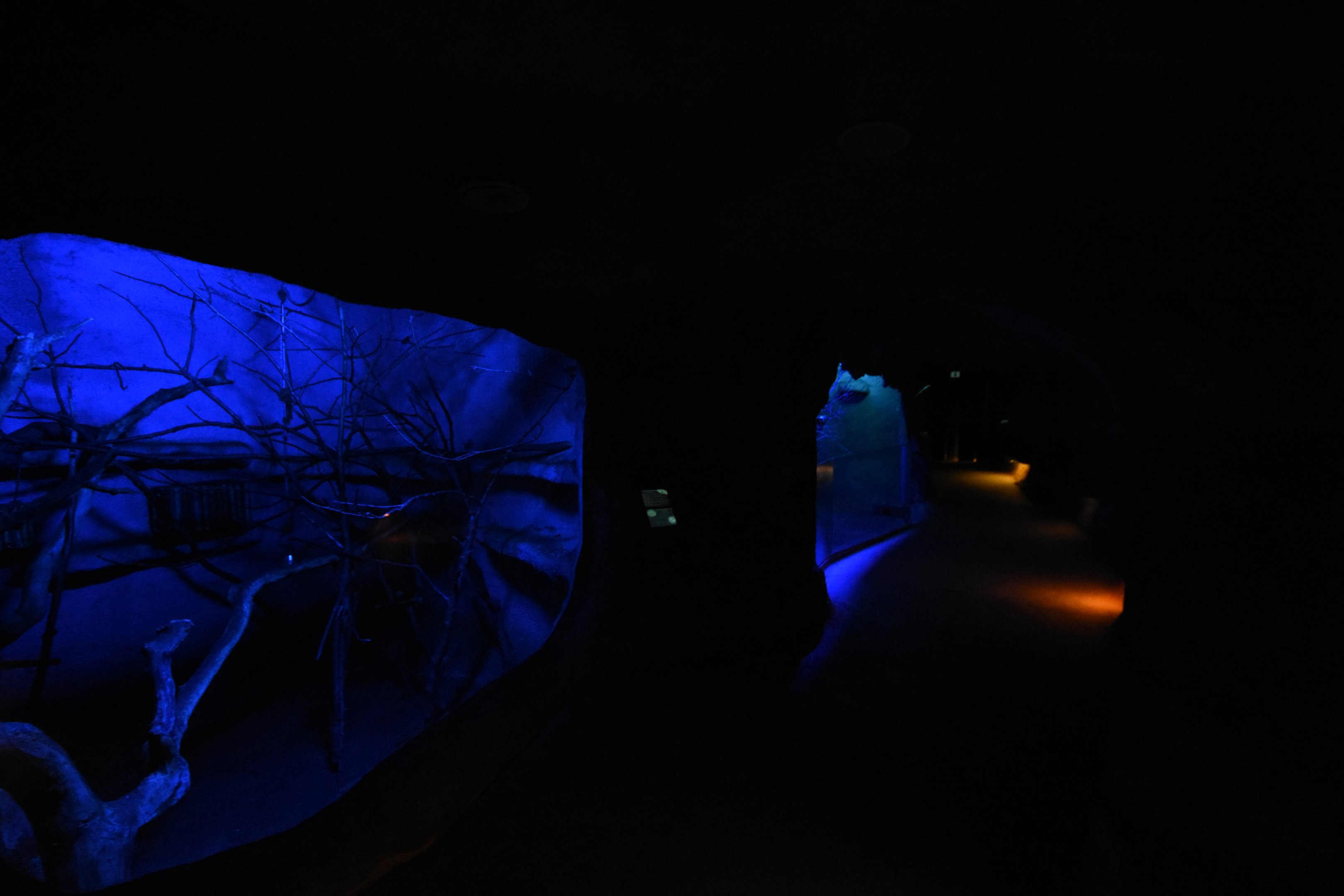 Indonesian house - tunnel