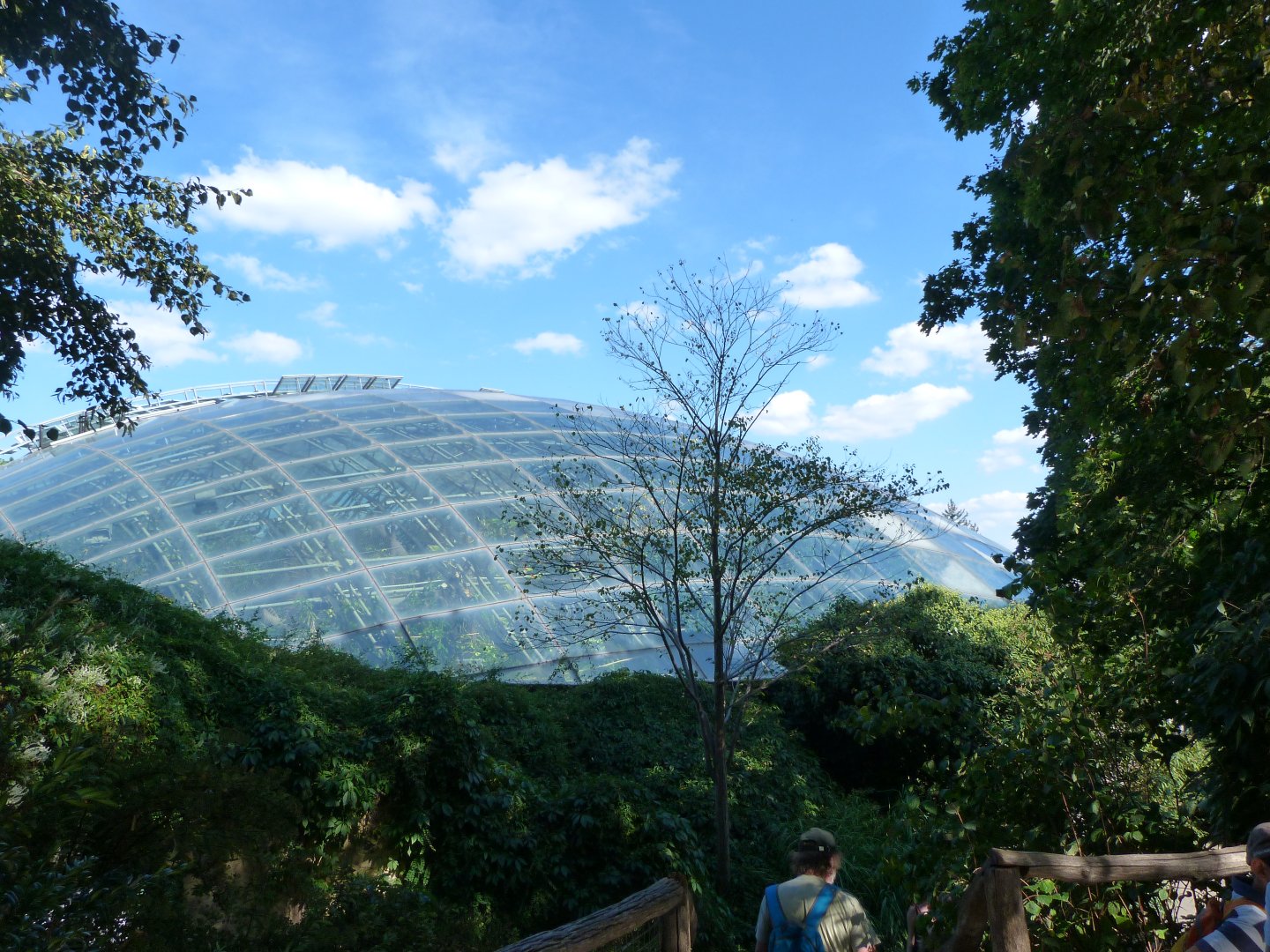 "Indonesian Jungle" view from outside -Zoo Praha (2025)