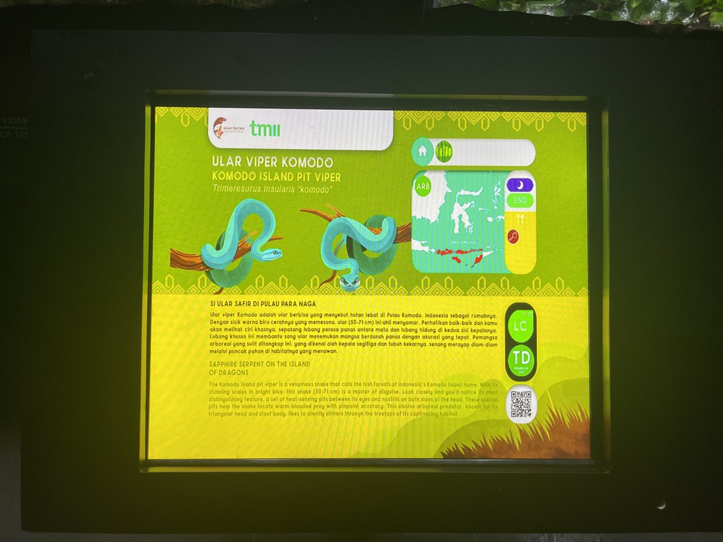 indonesian pit viper signage - museum komodo