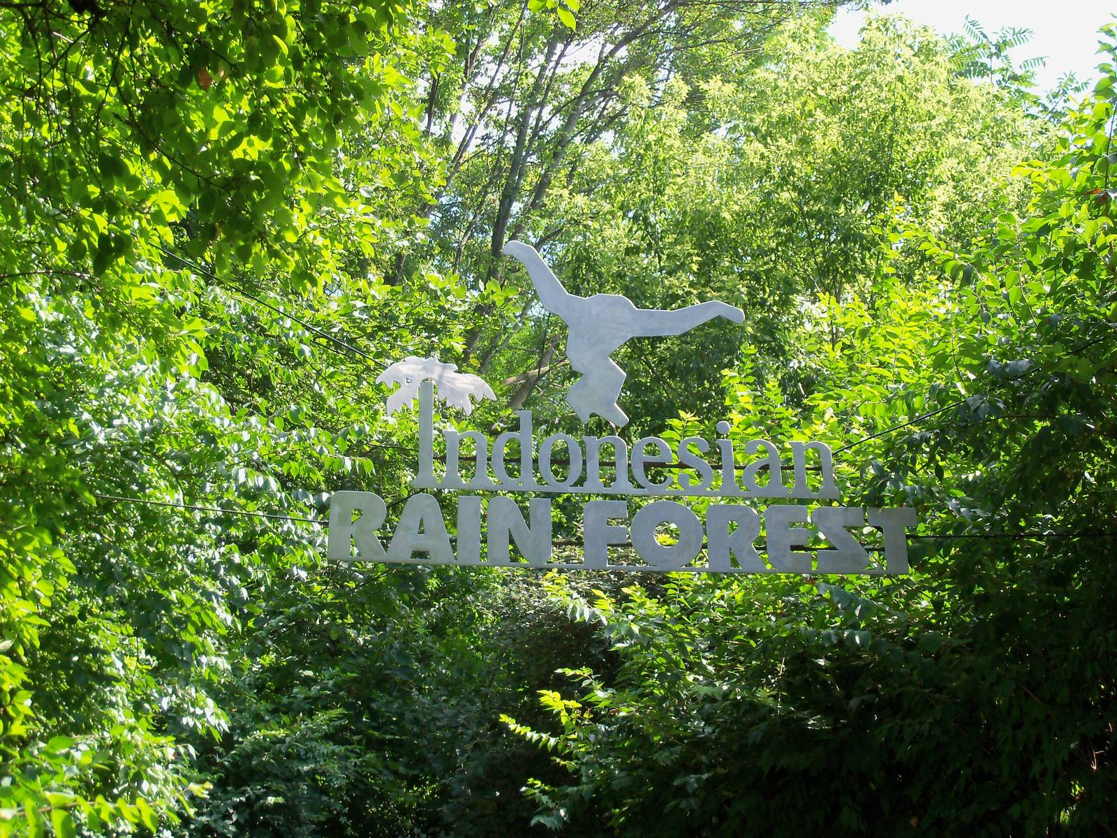 Indonesian Rain Forest - Entrance Sign