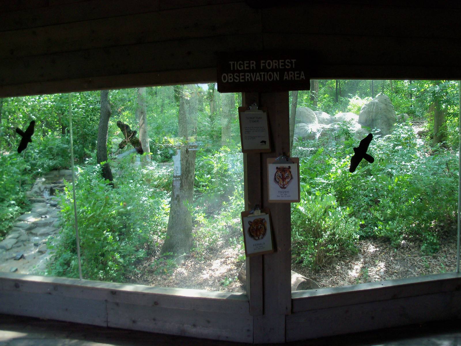 Indonesian Rain Forest - Sumatran Tiger Exhibit