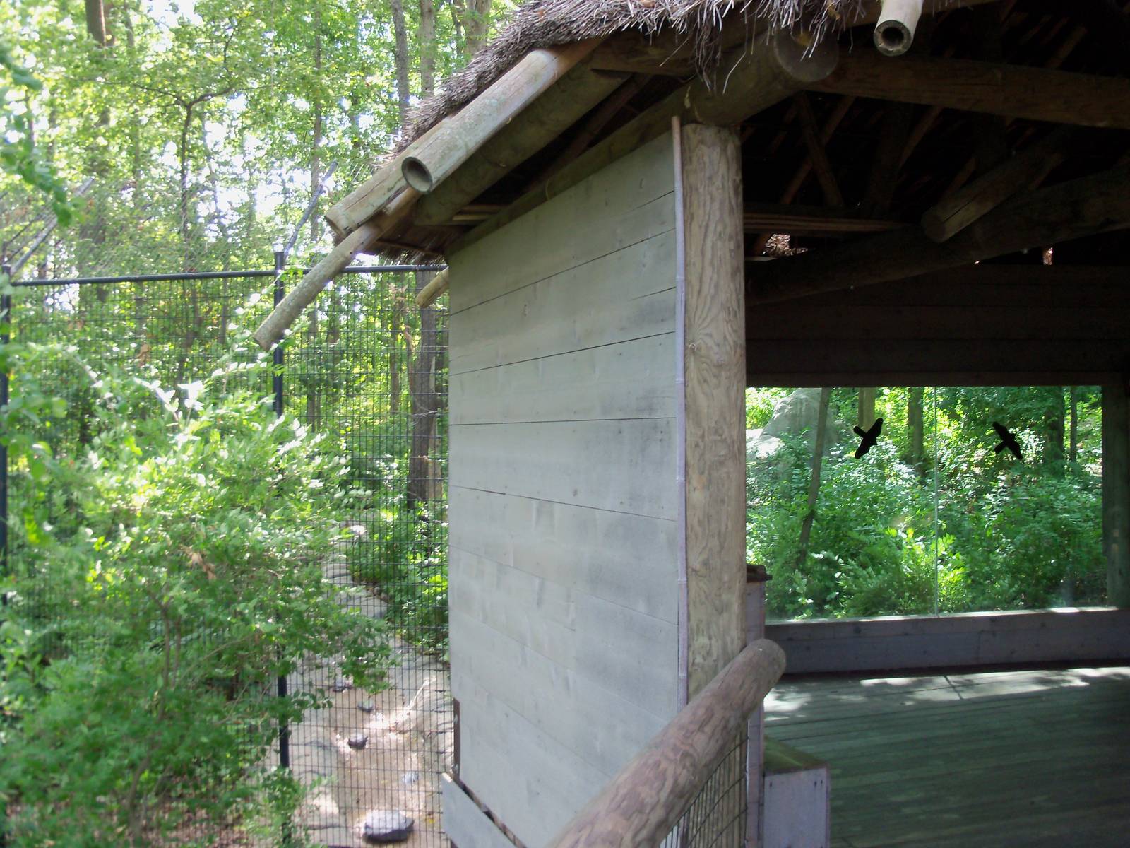 Indonesian Rain Forest - Sumatran Tiger Exhibit