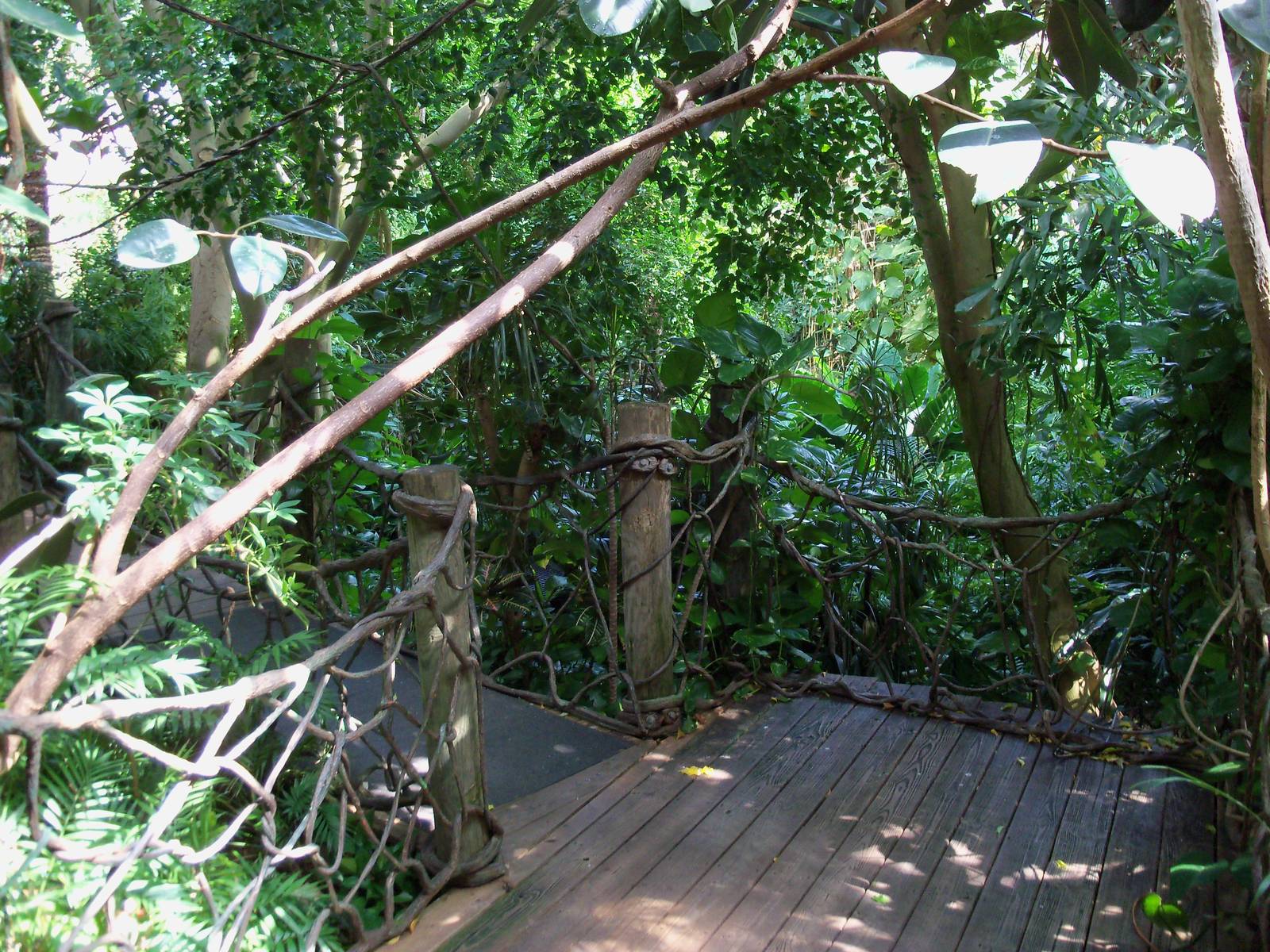 Indonesian Rain Forest - Walk-Through Aviary