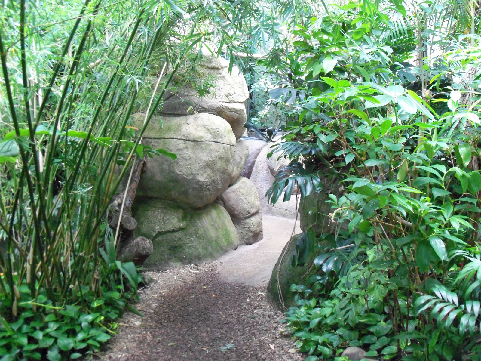 Indonesian Rain Forest - Walk-Through Aviary