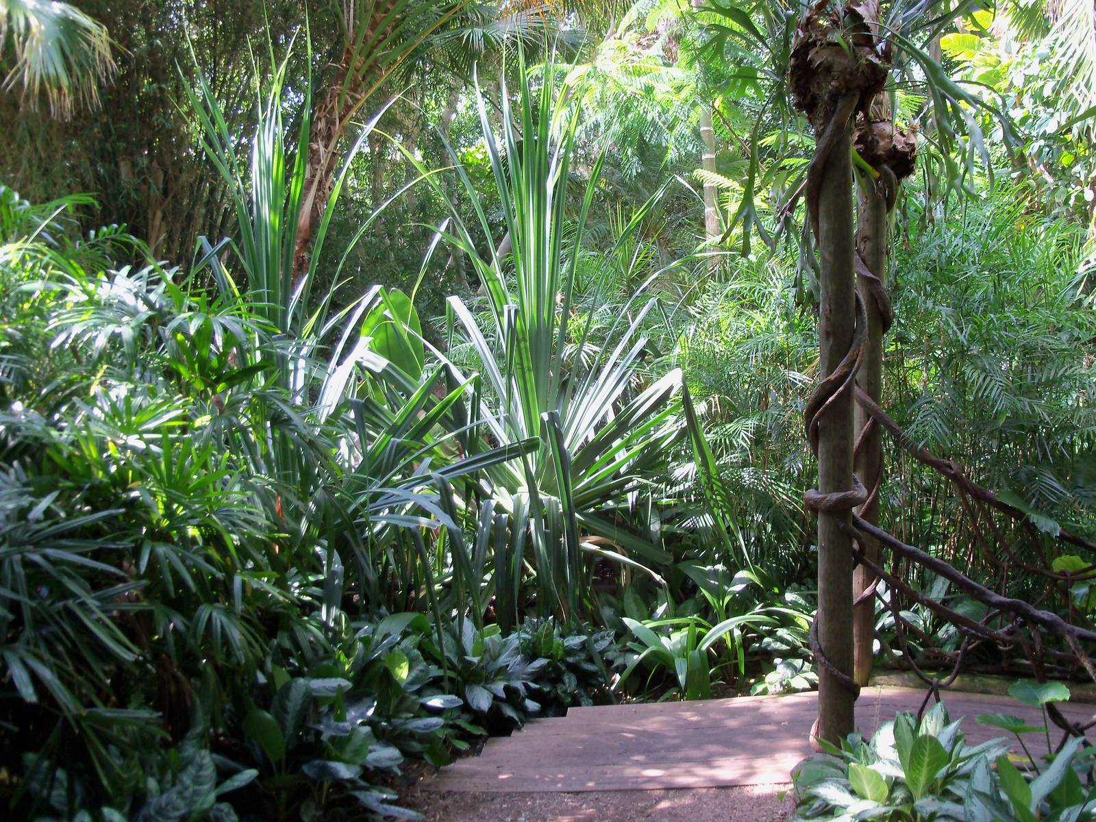 Indonesian Rain Forest - Walk-Through Aviary