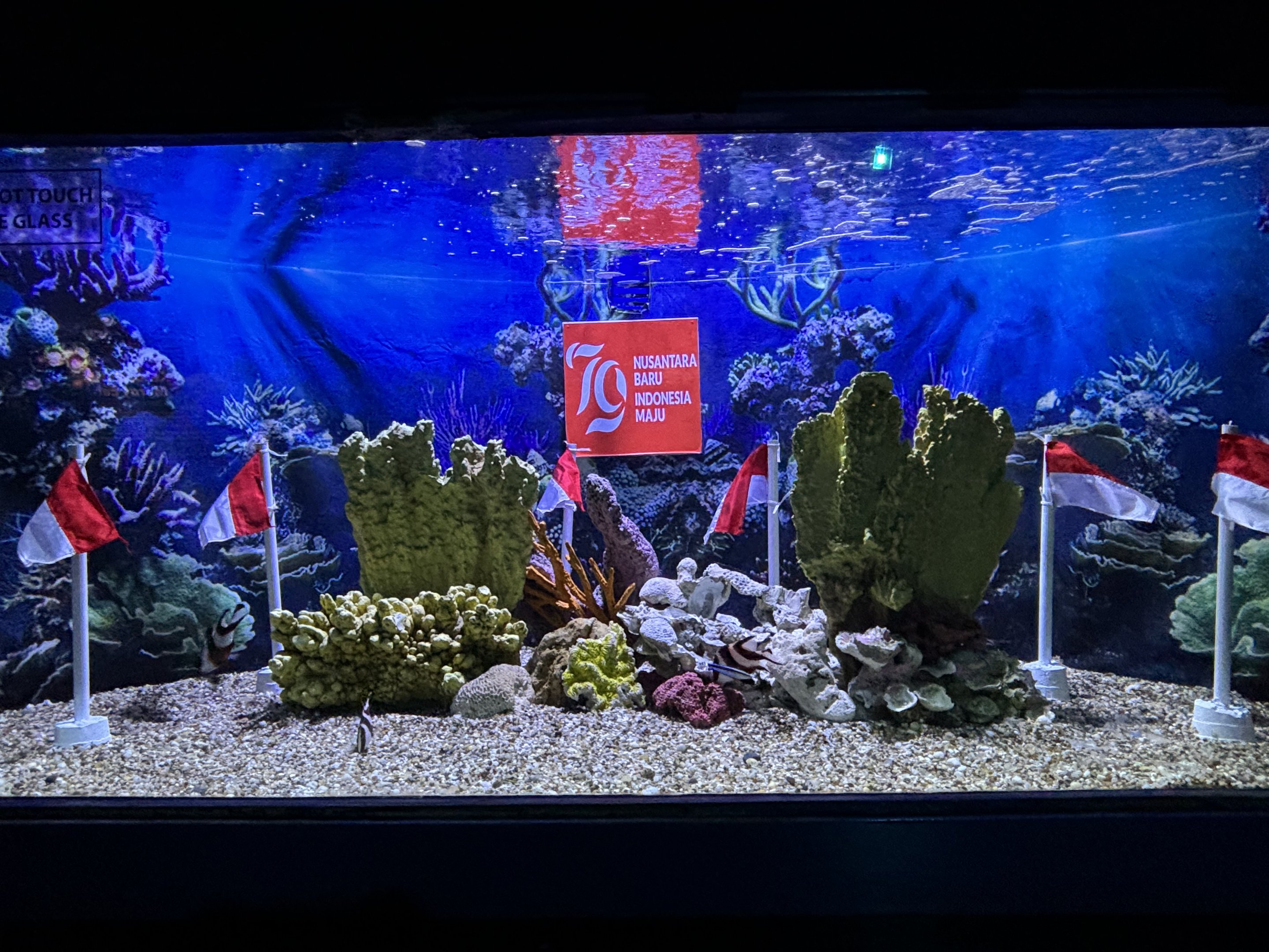 Indonesian Reef Tank