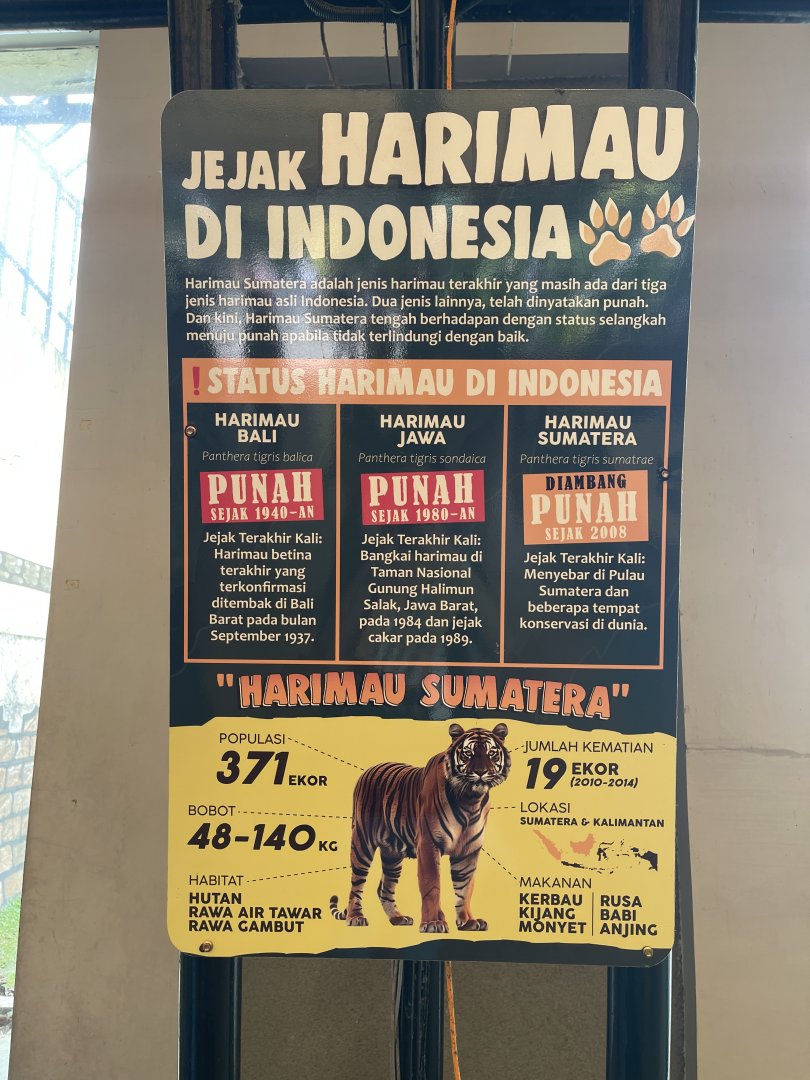 indonesian tiger signage