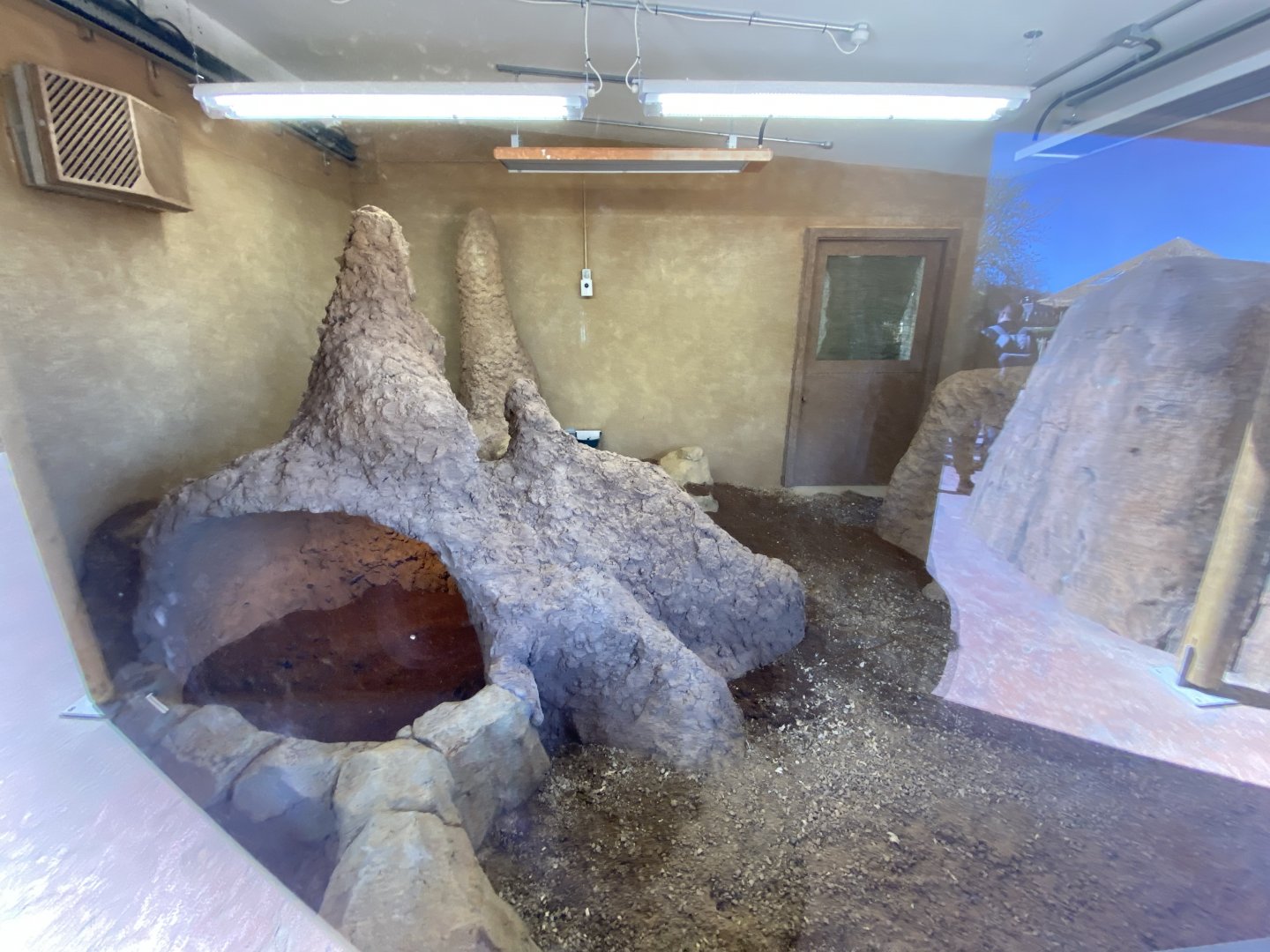 Indoor aardvark enclosure