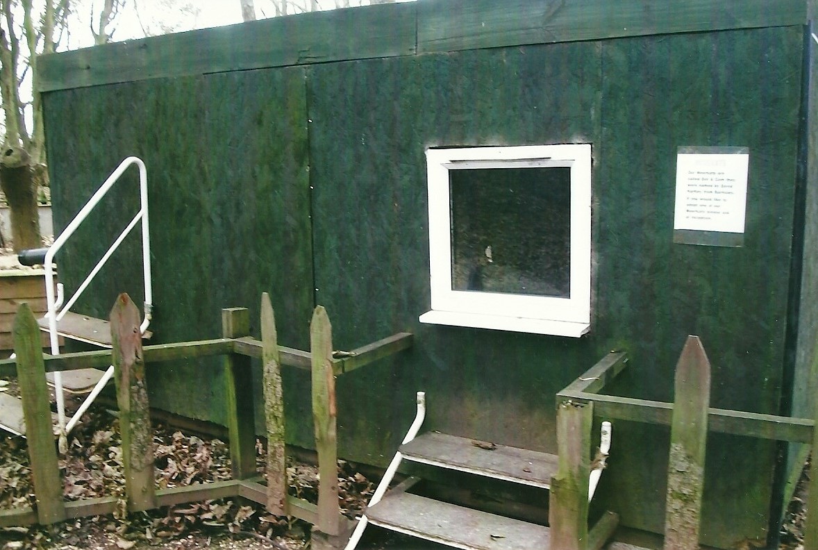 Indoor accommodation for Meerkats, 1st November 2013