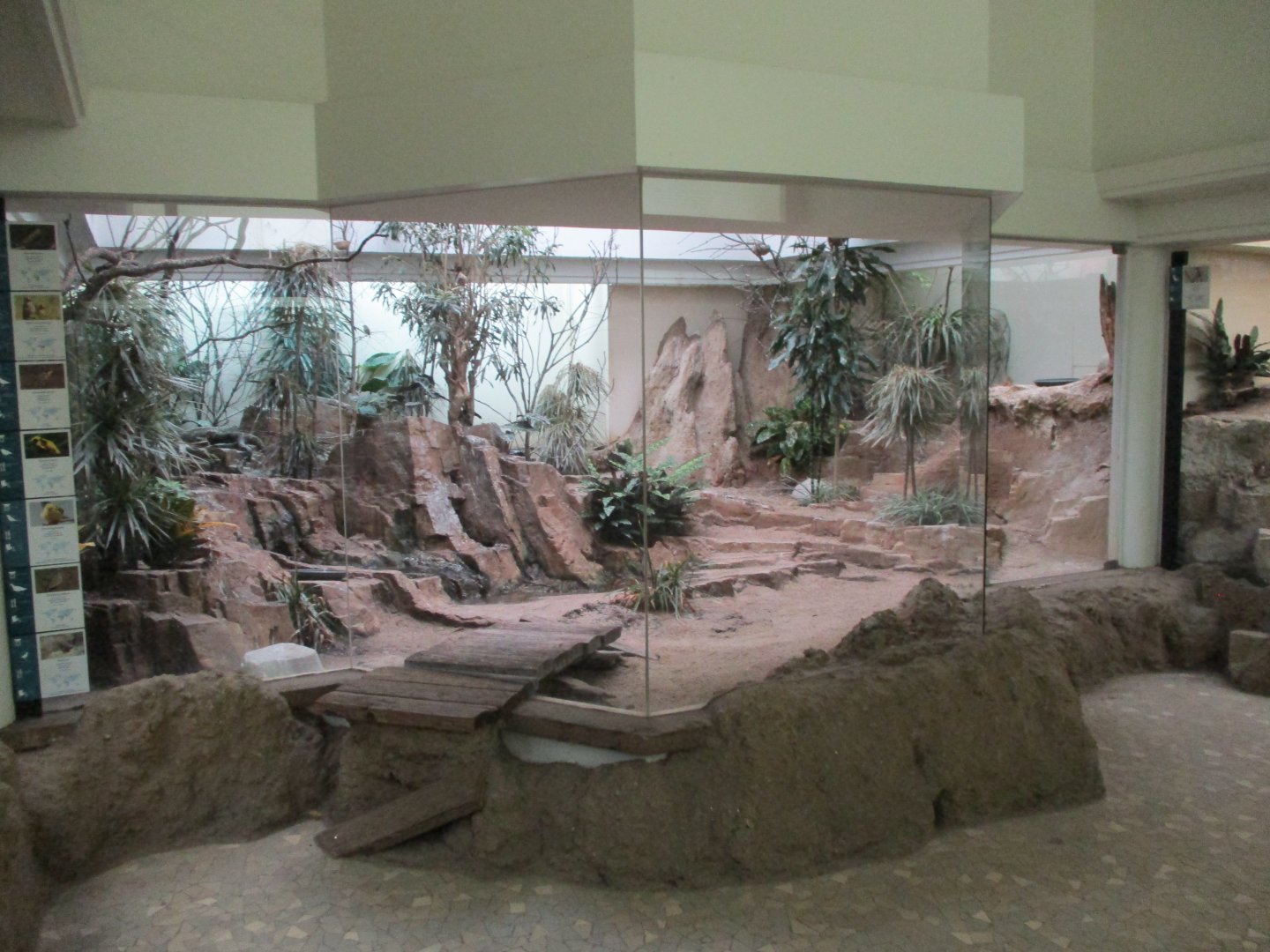 Indoor African arid aviary