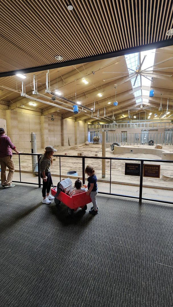 Indoor African Elephant Exhibit