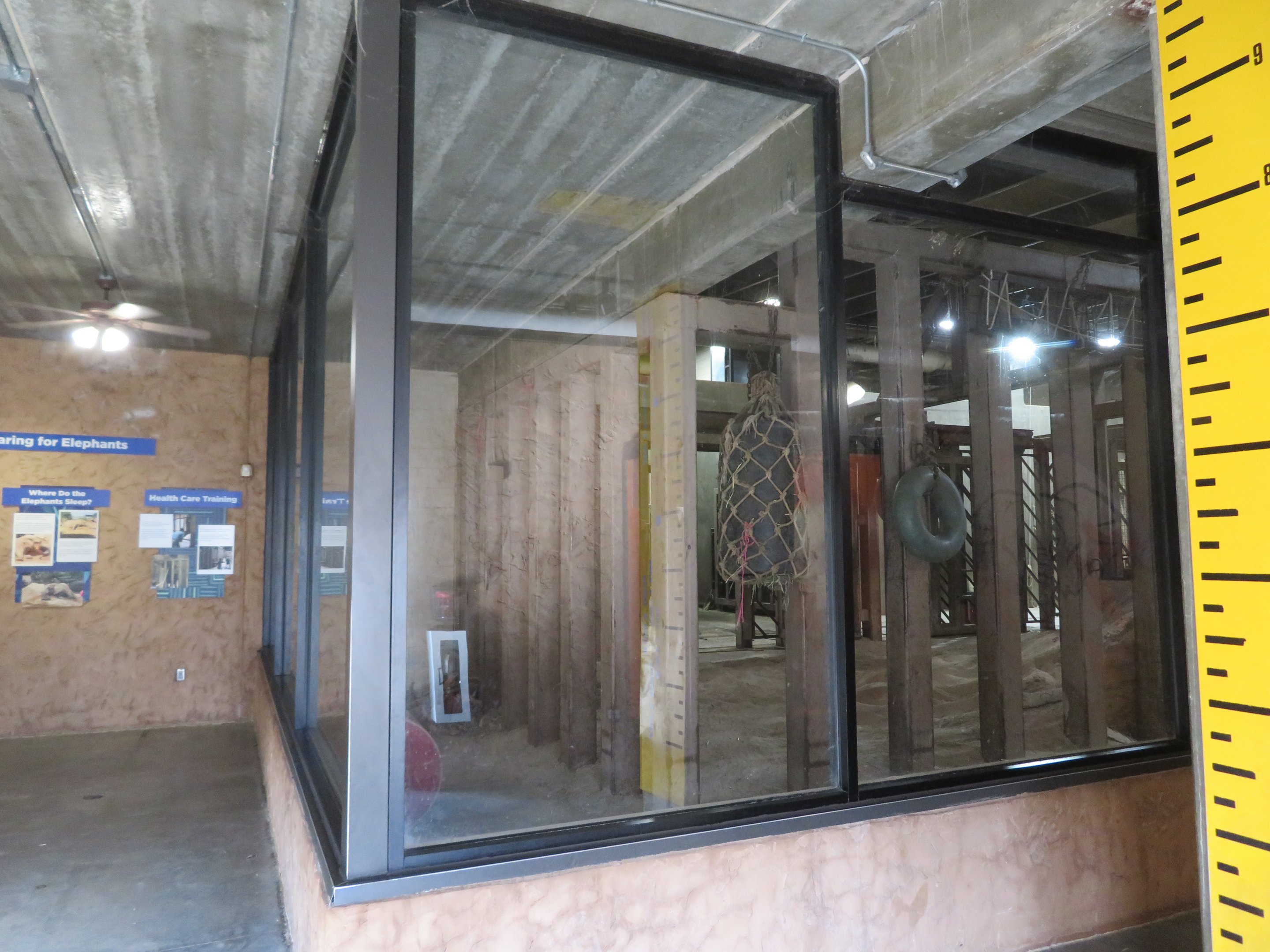 Indoor African Elephant Viewing