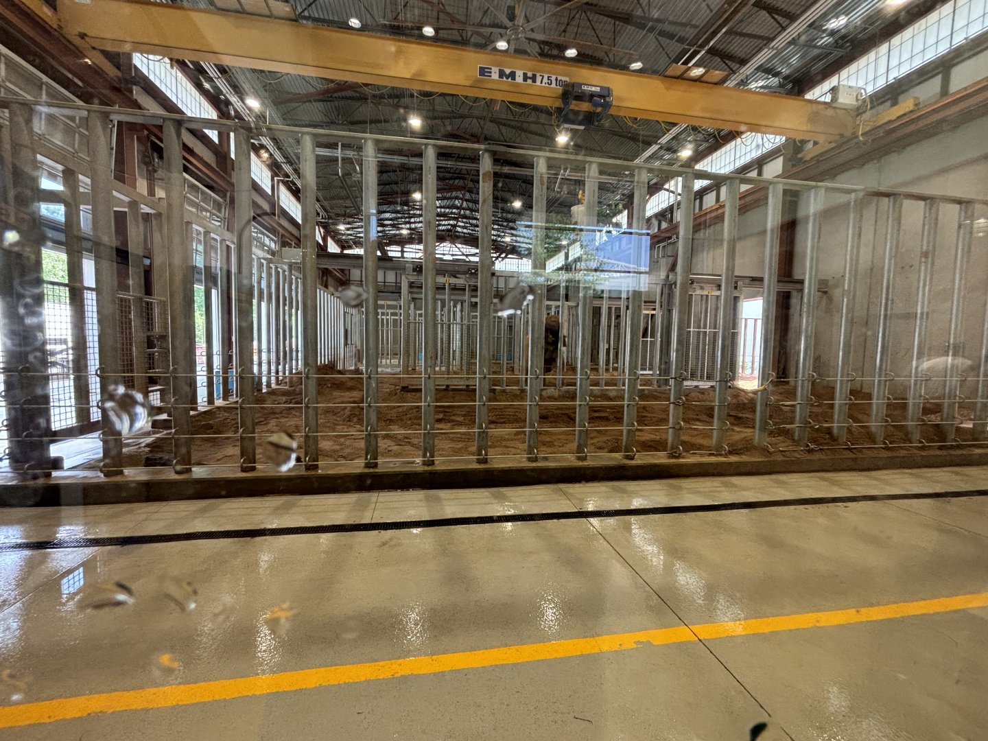 Indoor African Elephant