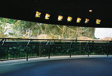 indoor african exhibit